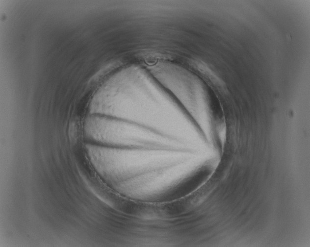 X0000082750165200702091937