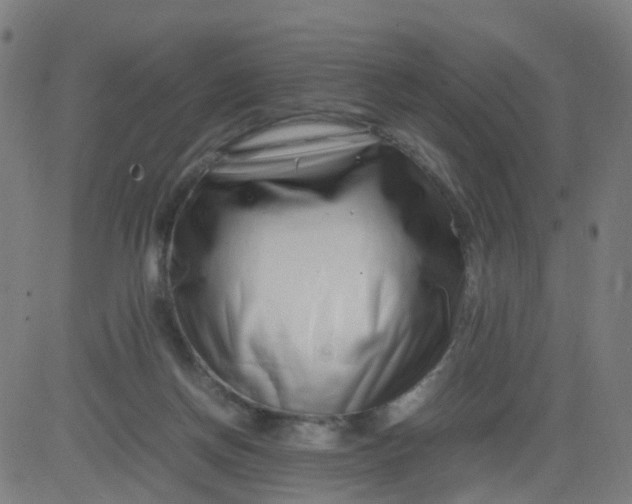 X0000082750166200702091937