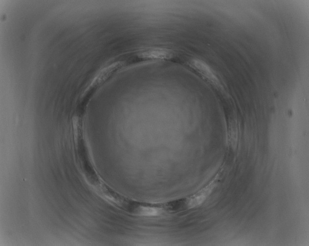 X0000082750167200702091937