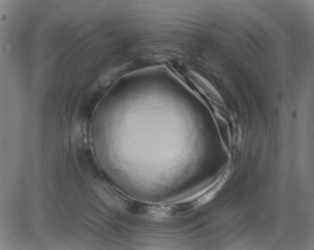 X0000082750182200702091937