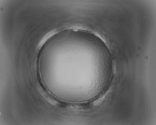 X0000082750199200702091937
