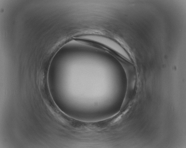 X0000082750201200702091937