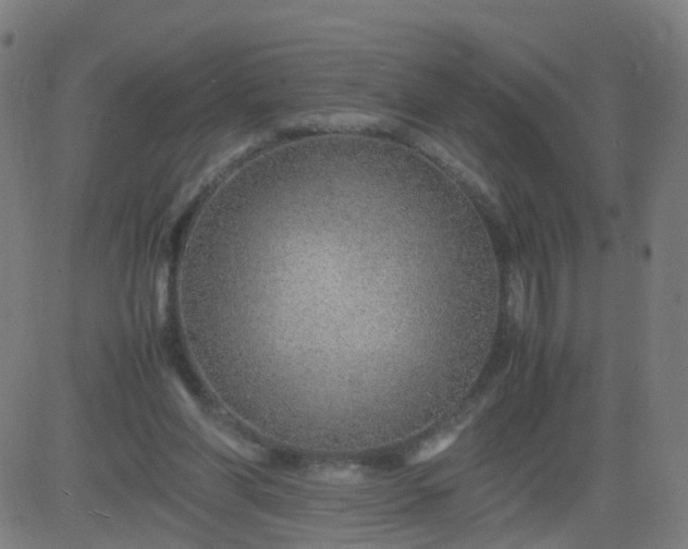 X0000082750206200702091937