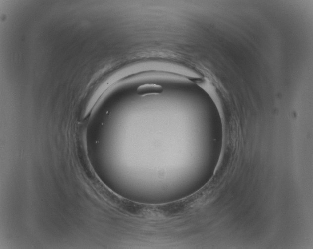 X0000082750207200702091937