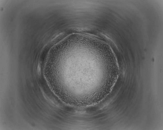 X0000082750214200702091936