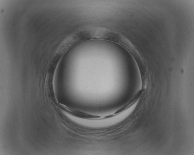 X0000082750217200702091936