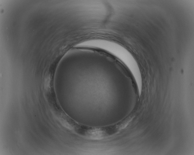 X0000082750219200702091936