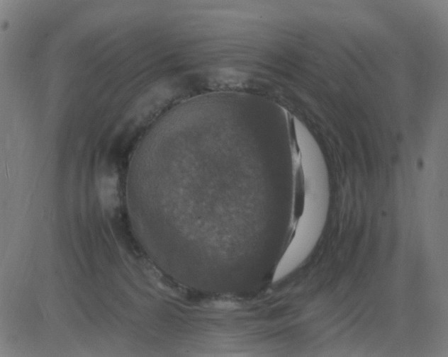 X0000082750224200702091936