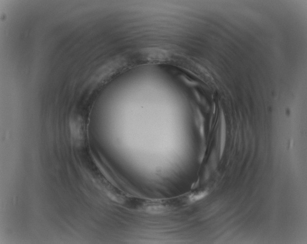 X0000082750228200702091936