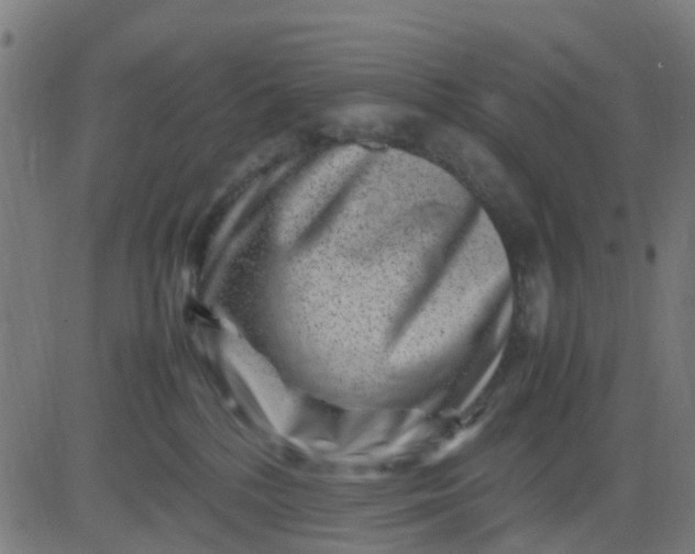 X0000082750232200702091936