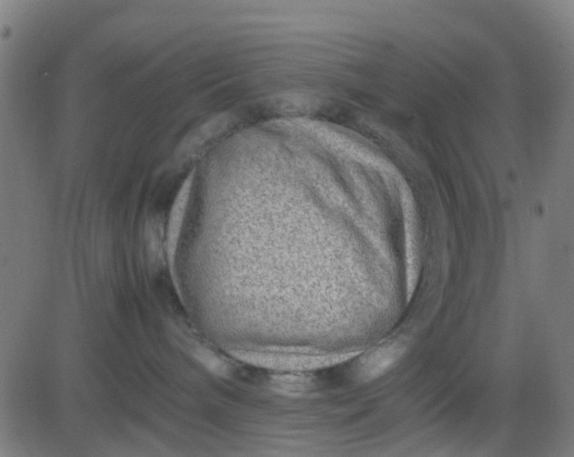 X0000082750240200702091936