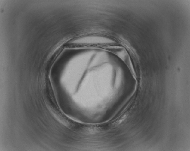 X0000082750250200702091935