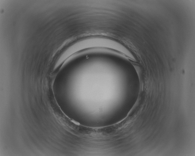 X0000082750256200702091936