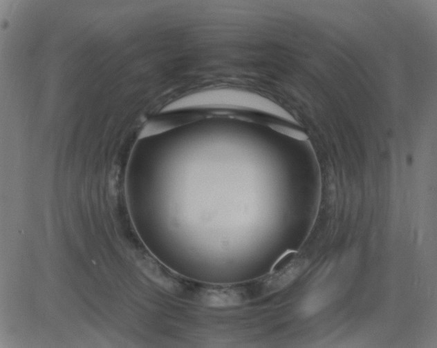 X0000082750275200702091936