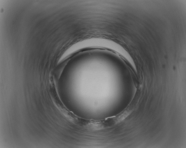 X0000082750280200702091936