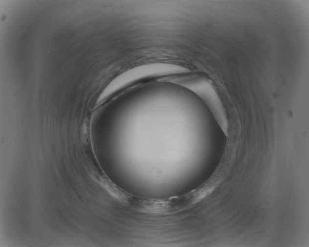 X0000082750288200702091936