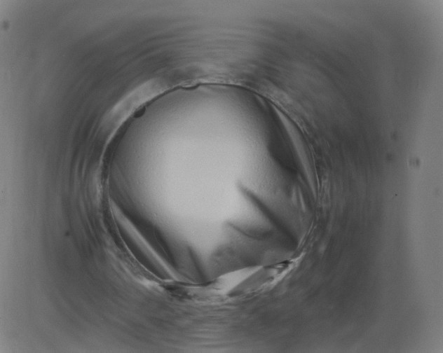 X0000082750290200702091935