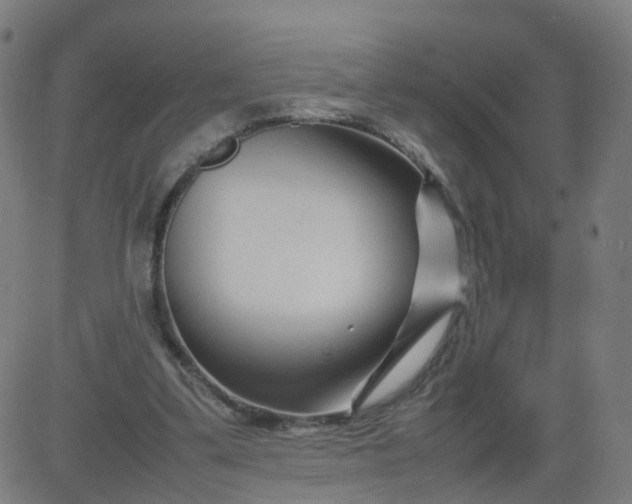 X0000082750299200702091935