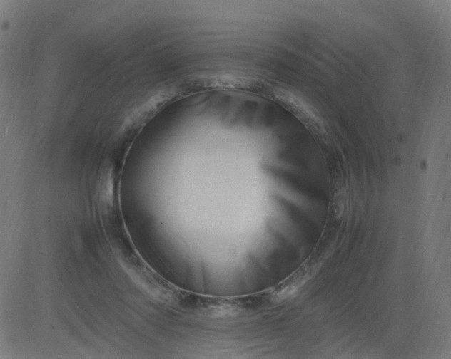 X0000082750310200702091935