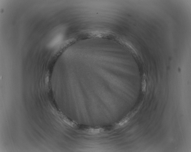 X0000082750314200702091935