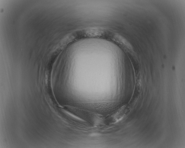 X0000082750315200702091935