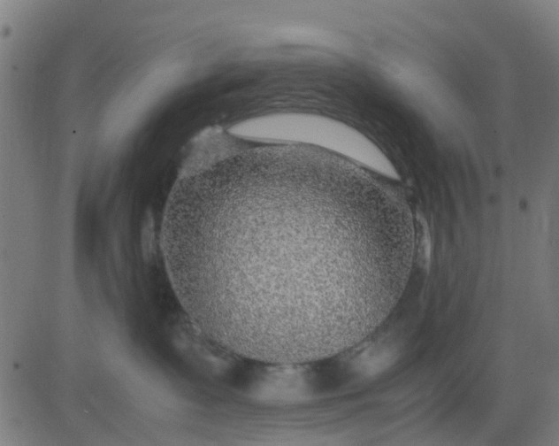 X0000082750335200702091934