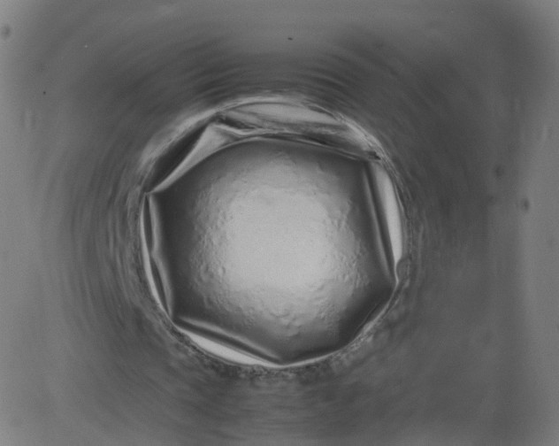 X0000082750337200702091934