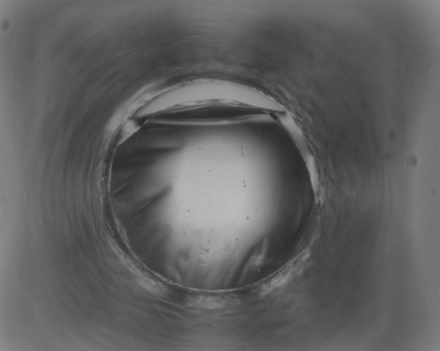 X0000082750341200702091934