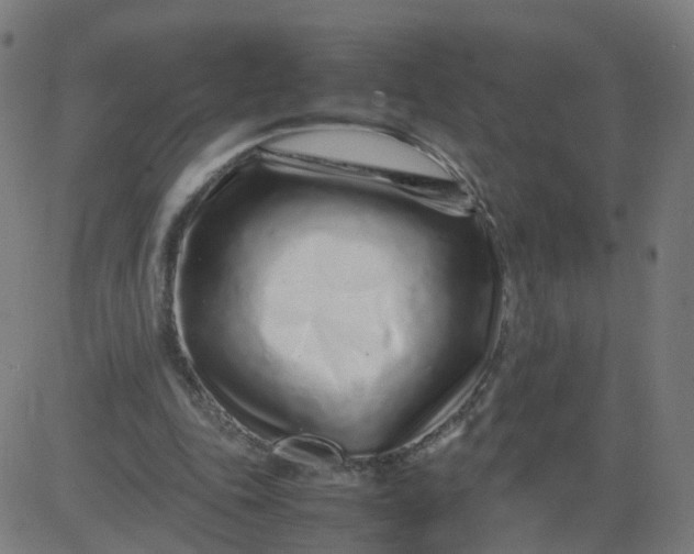 X0000082750343200702091934