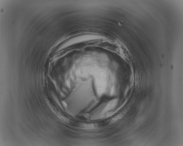 X0000082750349200702091934