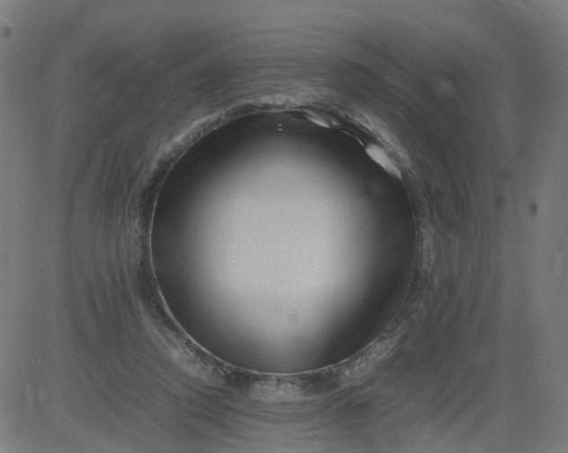 X0000082750354200702091934