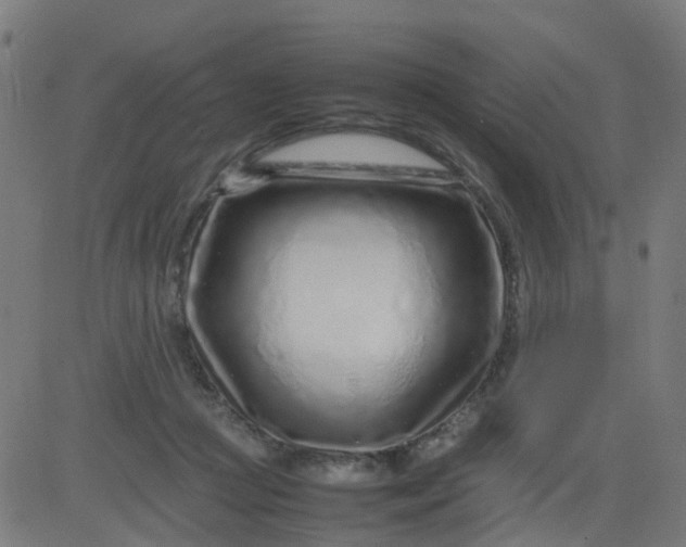 X0000082750361200702091934