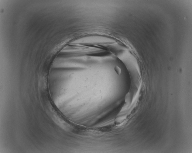 X0000082750393200702091934
