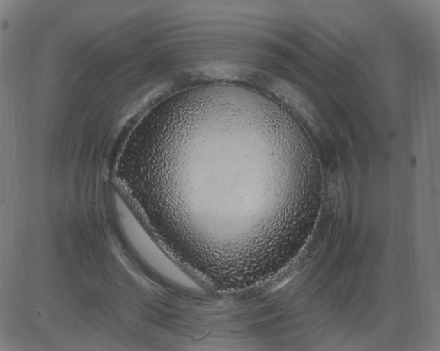 X0000082750398200702091933