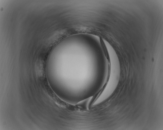 X0000082750416200702091933