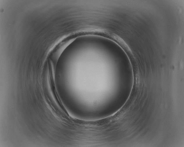 X0000082750436200702091932