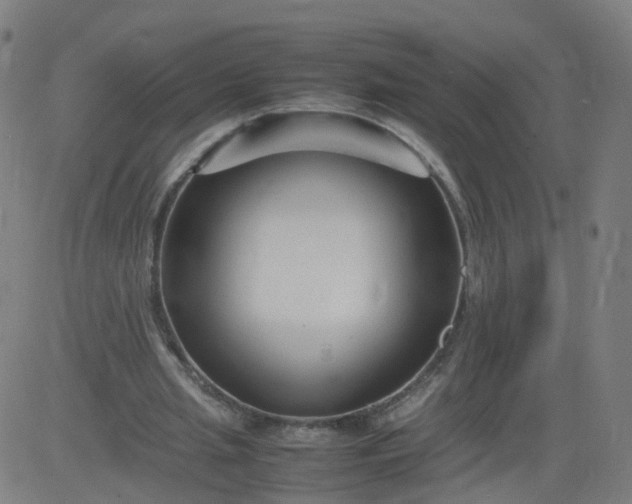 X0000082750437200702091932