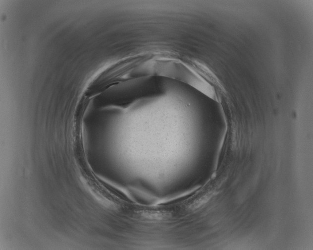 X0000082750439200702091932