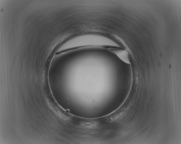 X0000082750447200702091932