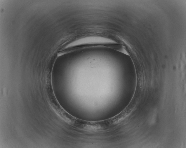 X0000082750455200702091932