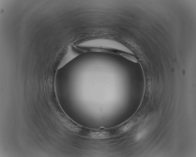 X0000082750461200702091933