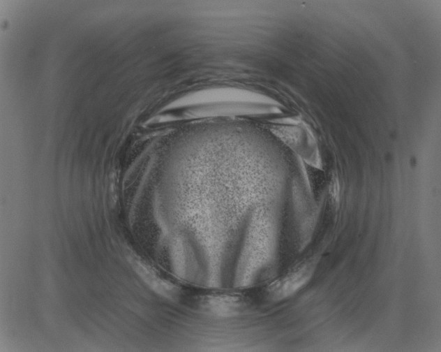 X0000082750462200702091933