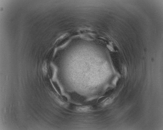 X0000082750479200702091933