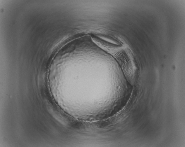 X0000082750491200702091932