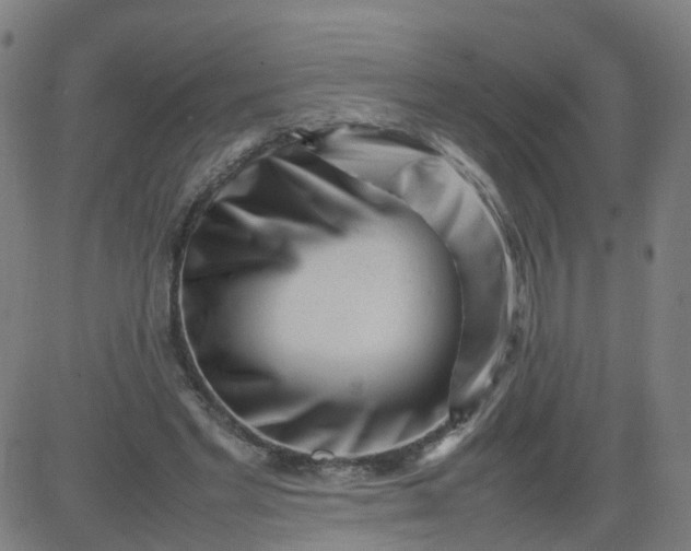 X0000082750493200702091932