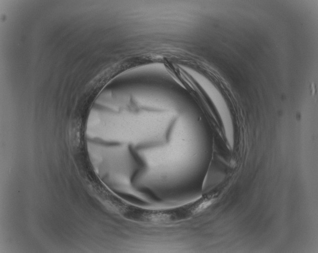 X0000082750501200702091932