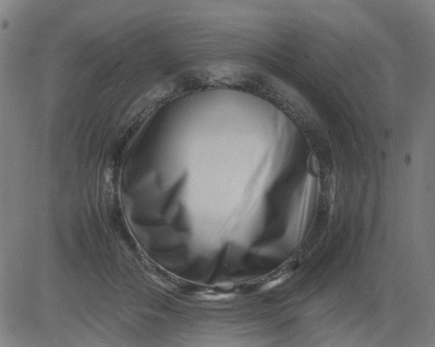 X0000082750506200702091932