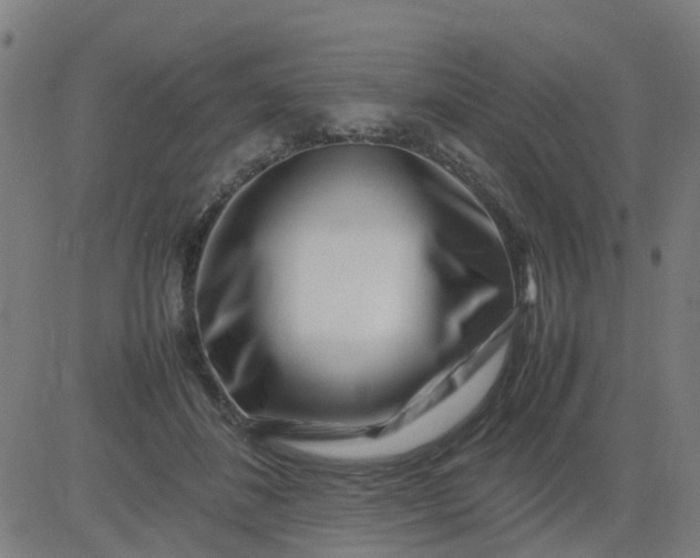 X0000082750508200702091932