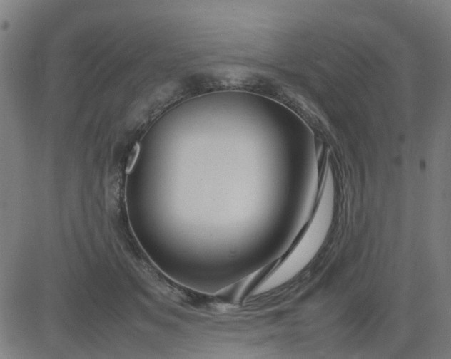 X0000082750509200702091932