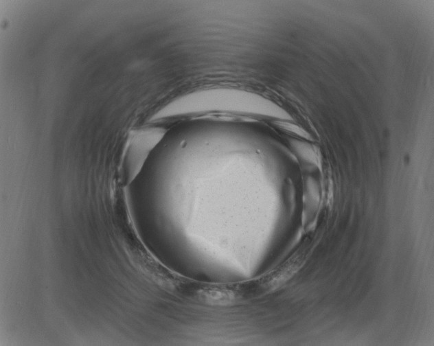 X0000082750512200702091932
